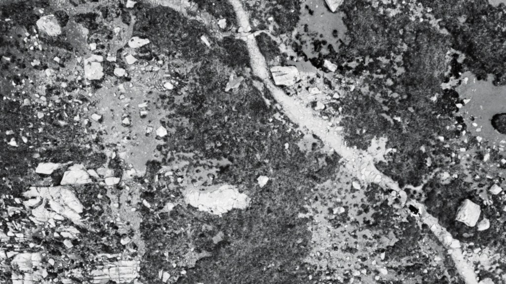 A Virtue released&nbsp;today